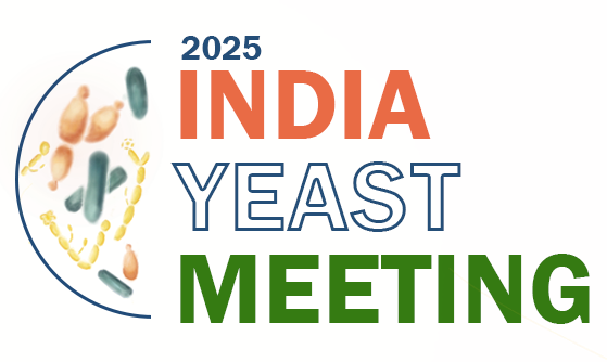 IYM 2025 Logo